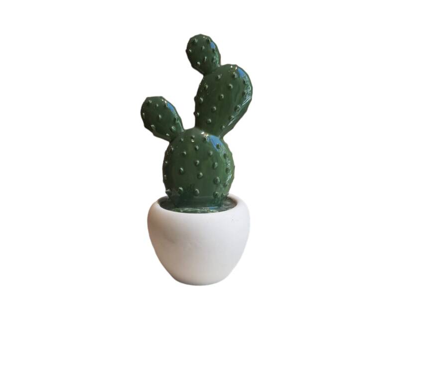 Souvenir 