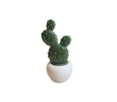 Suvenir “Kaktus” (kiçik) - Gallery Gifts & Flowers